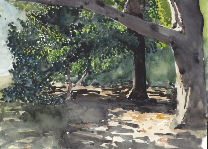 Central Park Sunlight (on cold press paper)
