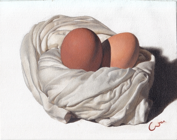 Eggs in Old T-shirt (oil on cotton)